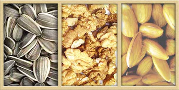 Export Cashew